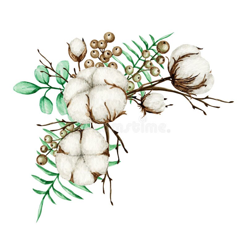 Cotton Plant Stock Illustrations – 17,895 Cotton Plant Stock ...