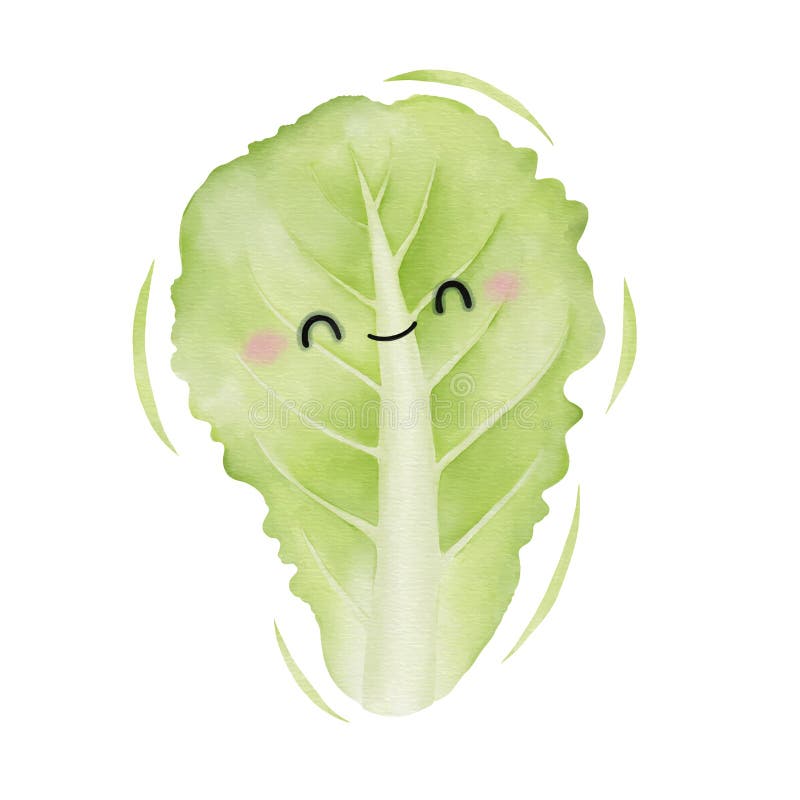 Watercolor Cute Lettuce Leaf Cartoon Character. Vector Illustration Stock Vector Illustration
