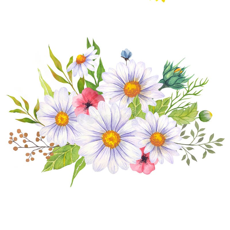 2,776 Watercolor Daisy Photos - Free & Royalty-Free Stock Photos From Dreamstime