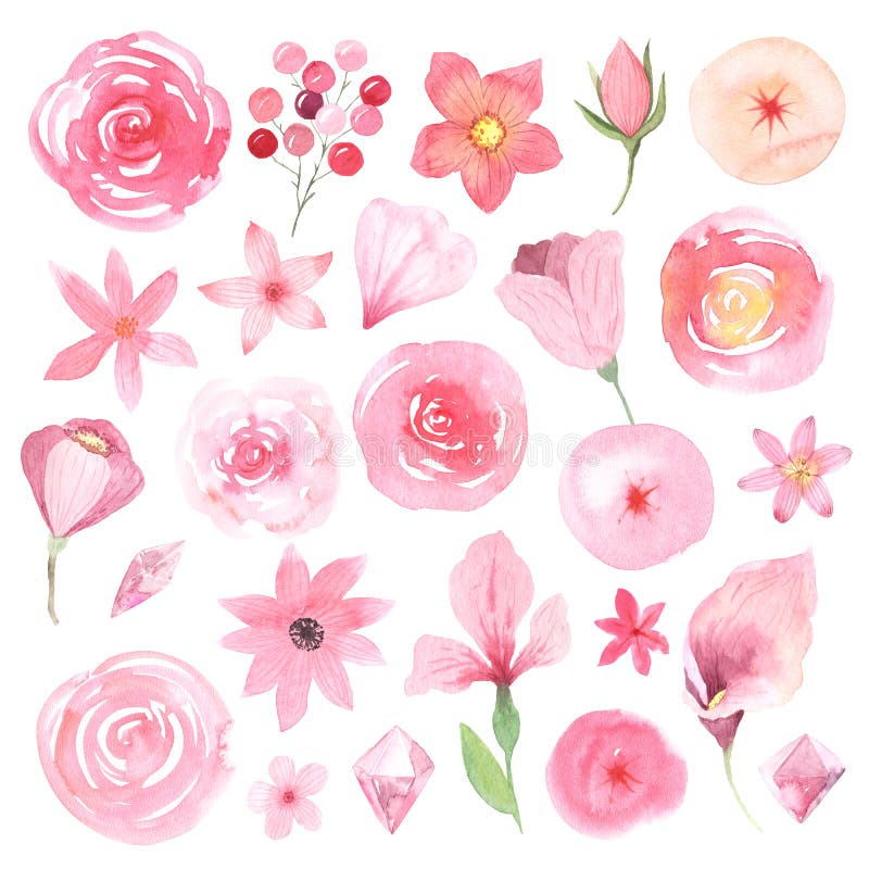 Watercolor Delicate Pink Roses Arrangement, Isolated on White ...
