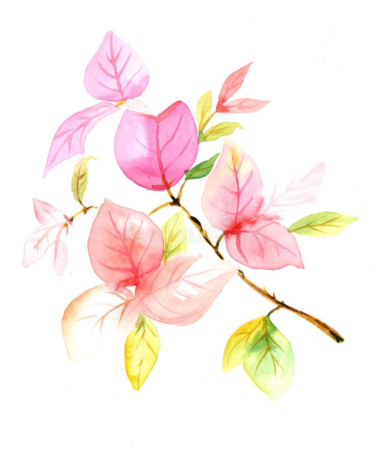 Watercolor Drawing of a Beautiful Pink Branch with Leaves Stock ...