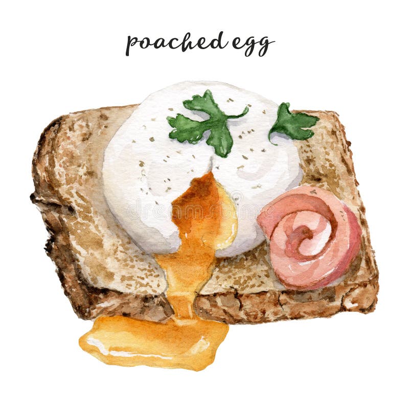 Watercolor Drawing of Breakfast Poached Egg on Toast with Salmon
