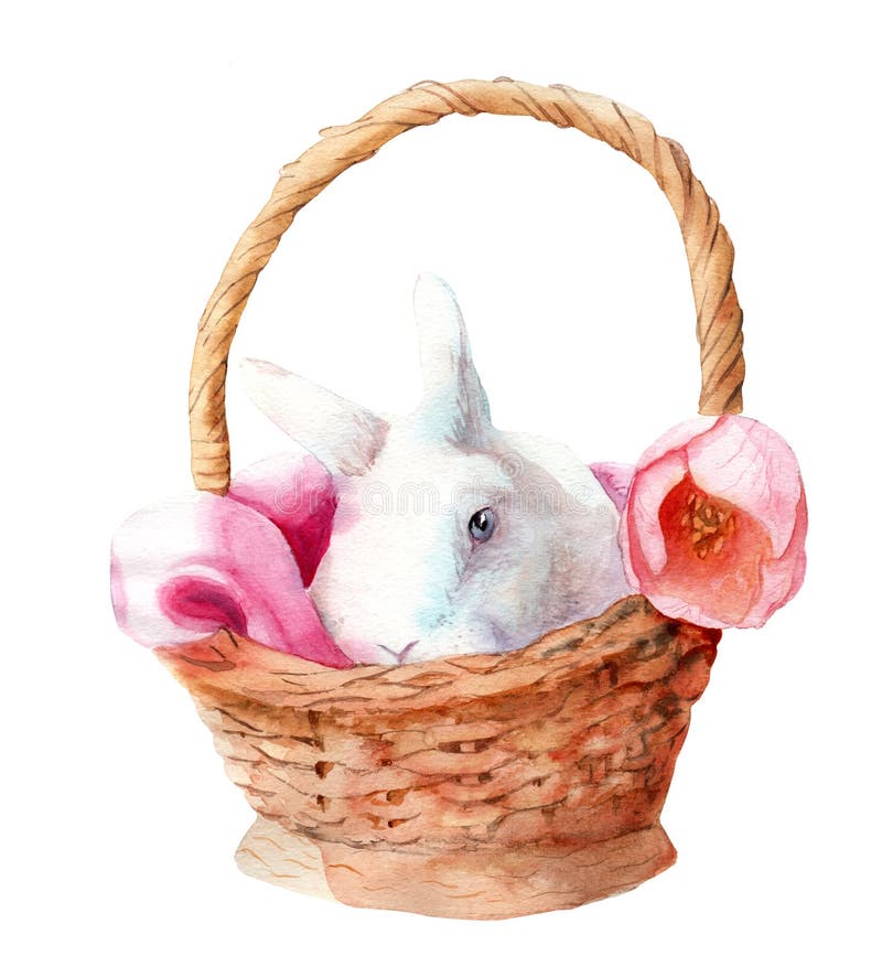 Watercolor Drawing for Easter. Rabbit in a Basket Stock Photo Image