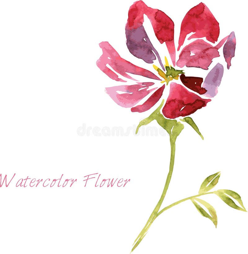 Watercolor drawing flower vector illustration