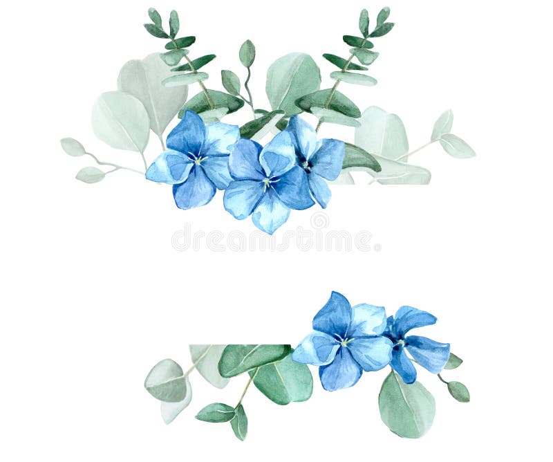 Watercolor drawing. Frame of eucalyptus leaves and blue hydrangea flowers. Design for weddings, cards, invitations, greetings. iso