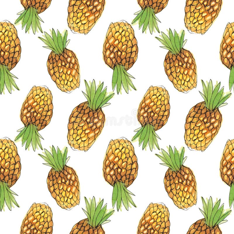 Watercolor Pineapple Farm Stock Illustrations 54 Watercolor Pineapple