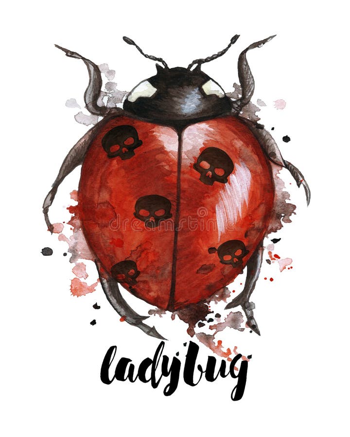 Watercolor drawing of an insect ladybird in a heluin theme with black skulls on the back with splashes on a white background, hor