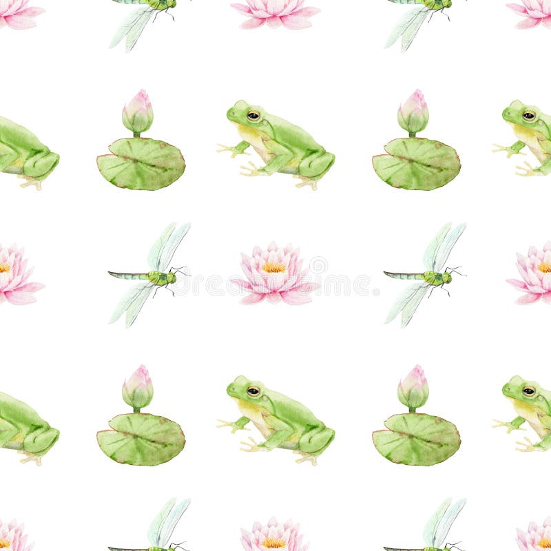 Outline drawing a frog isolated on white Vector Image