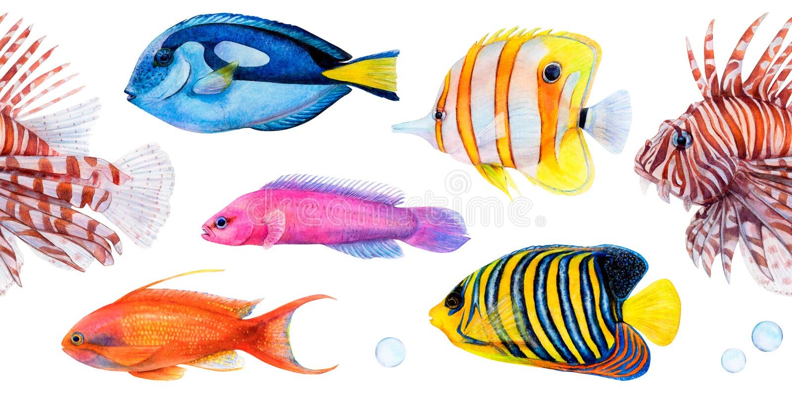 170+ Thousand Colored Fish Drawing Royalty-Free Images, Stock