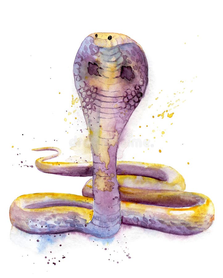 Watercolor Drawing of a Snake - Cobra Blots Stock Illustration - Illustration of ornament, design: 210094986