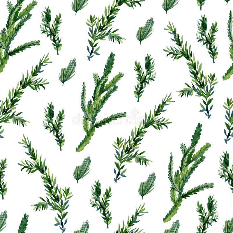Watercolor evergreen christmas seamless pattern with fir twigs and foliage branch, winter floral for to the textile fabric royalty free illustration Watercolor evergreen christmas seamless pattern with fir twigs and foliage branch, winter floral for to the textile fabric royalty free illustration