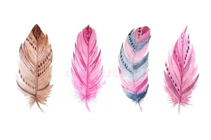 Watercolor Exotic Feathers Set Stock Illustration - Illustration Of Fluffy, Isolated: 84454197