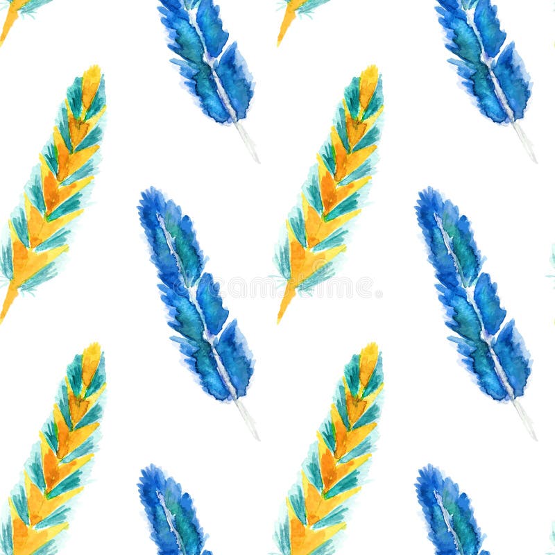 Watercolor feathers vector illustration