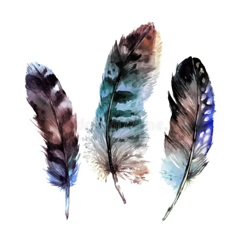 Download Watercolor Feathers Set stock vector. Illustration of painting - 71014297