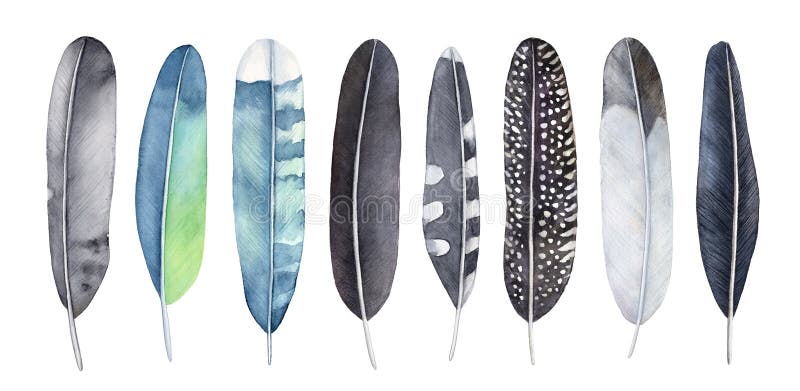 Watercolor feathers set. Mix of various type, pattern and colors black, grey, blue, turquoise, green, yellow. stock illustration