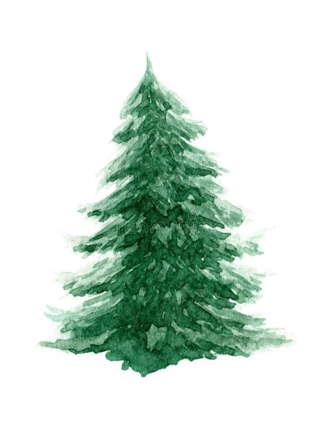 Watercolor fir-tree stock illustration. Illustration of hand - 86231781