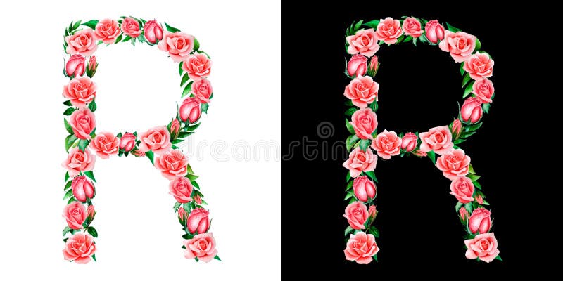 Letter R Roses Photos Free Royalty Free Stock Photos From Dreamstime Letter R Roses Photos Free Royalty Free Stock Photos From Dreamstime