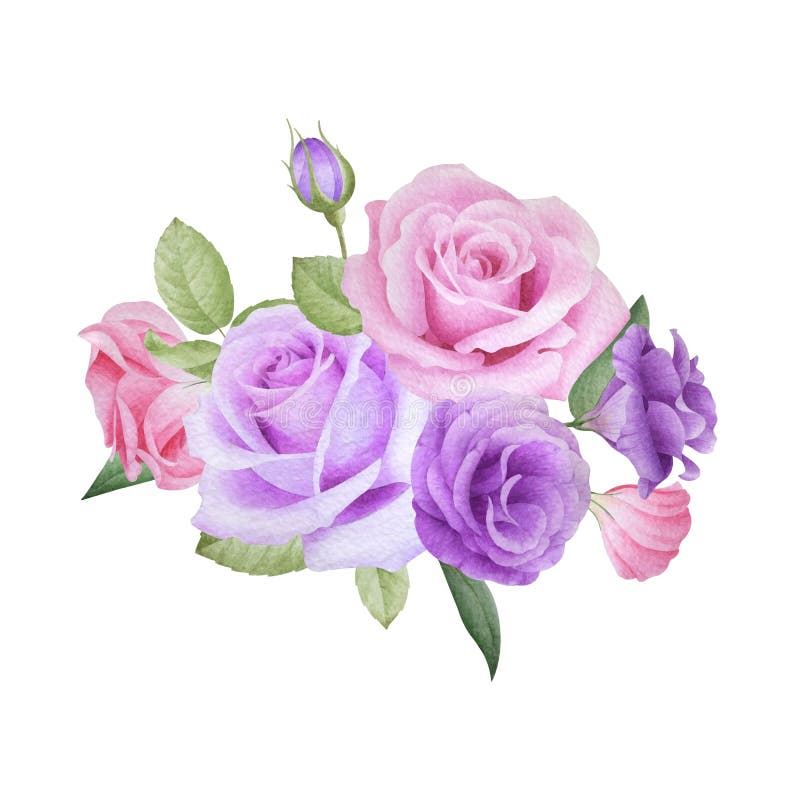 Watercolor Floral Bouquet of Roses and Lisianthus Stock Illustration ...