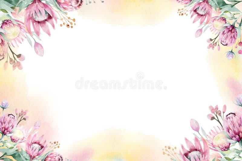 Watercolor Floral decoration spring summer background with blossom protea flower. Wedding decoration frame with floral