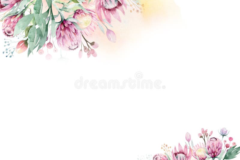 Watercolor Floral decoration spring summer background with blossom protea flower. Wedding decoration frame with floral