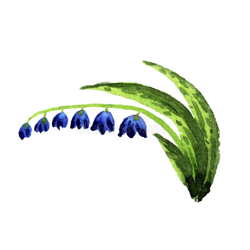 Watercolor floral set. stock illustration. Illustration of plant - 85085234