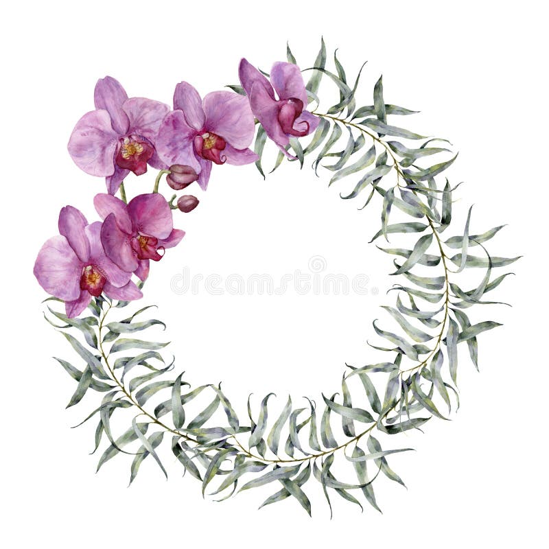 Orchids Floral Border Isolated White Stock Illustrations – 370 Orchids ...