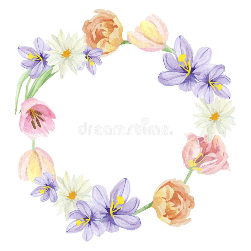 Watercolor floral wreath illustration with tulips and crocus, green leaves, for wedding stationery, greeting card, baby shower royalty free illustration Watercolor floral wreath illustration with tulips and crocus, green leaves, for wedding stationery, greeting card, baby shower royalty free illustration