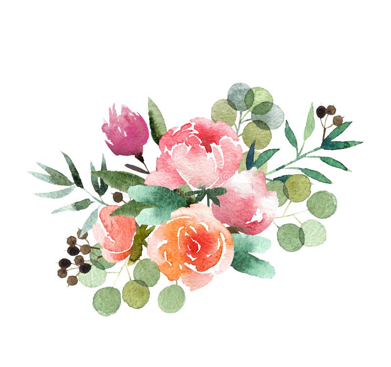 Watercolor Bouquet Isolated on White Background Stock Illustration ...