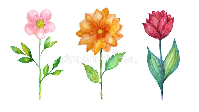 Download Watercolor Flowers Clipart Stock Image Image Of Birthday 200677785