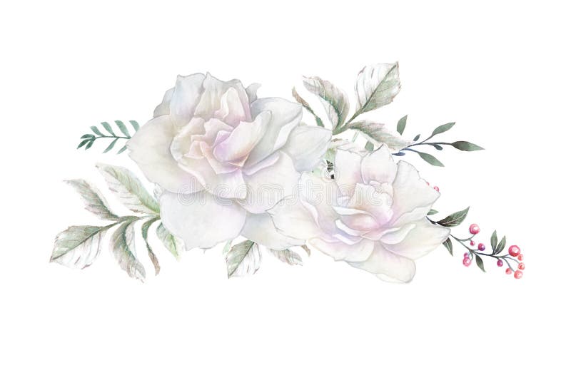 Watercolor flowers. floral illustration, Leaf and buds. Botanic composition for wedding or greeting card. vector illustration Watercolor flowers. floral illustration, Leaf and buds. Botanic composition for wedding or greeting card. vector illustration