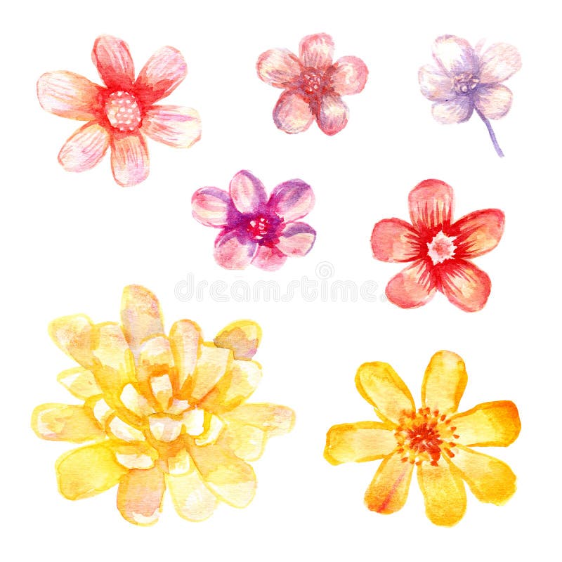 Watercolor flowers set. stock illustration