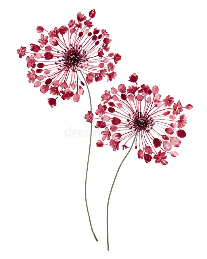 For easy making seamless pattern use it for filling any contours. Watercolor flowers set. Hand drawn floral elements isolated on white background. Fantasy royalty free stock photos For easy making seamless pattern use it for filling any contours. Watercolor flowers set. Hand drawn floral elements isolated on white background. Fantasy royalty free stock photos