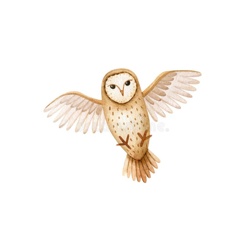 Tip 99 about flying owl tattoo super hot  indaotaonec