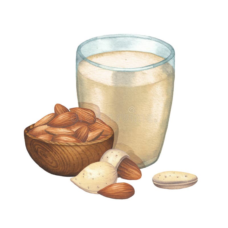 Watercolor glass of the plant based milk decorated with almonds. Hand painted illustration isolated on the white background vector illustration Watercolor glass of the plant based milk decorated with almonds. Hand painted illustration isolated on the white background vector illustration