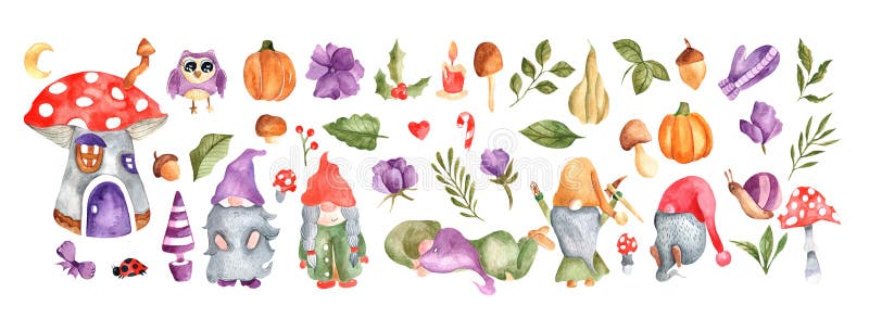 Watercolor gnomes. A fabulous set. Owl. Watercolor plants, flowers, mushrooms