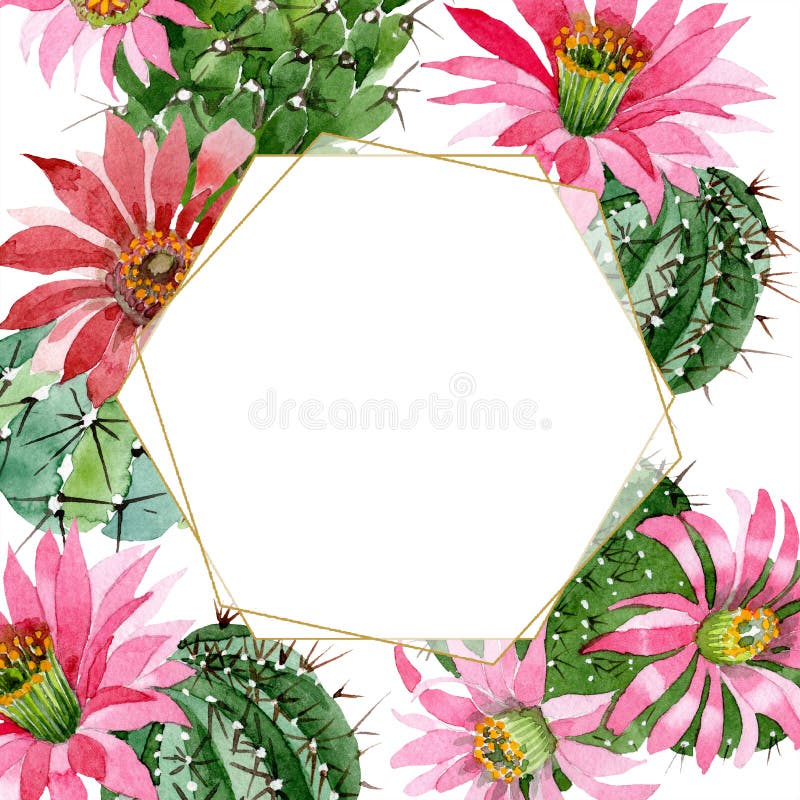 Watercolor green cactus with a pink flower. Floral botanical flower. Frame border ornament square.