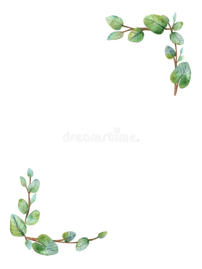 Watercolor green floral frame card with silver dollar eucalyptus round leaves. royalty free illustration Watercolor green floral frame card with silver dollar eucalyptus round leaves. royalty free illustration