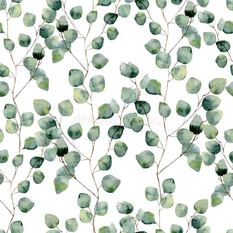 Watercolor green floral seamless pattern with eucalyptus round leaves