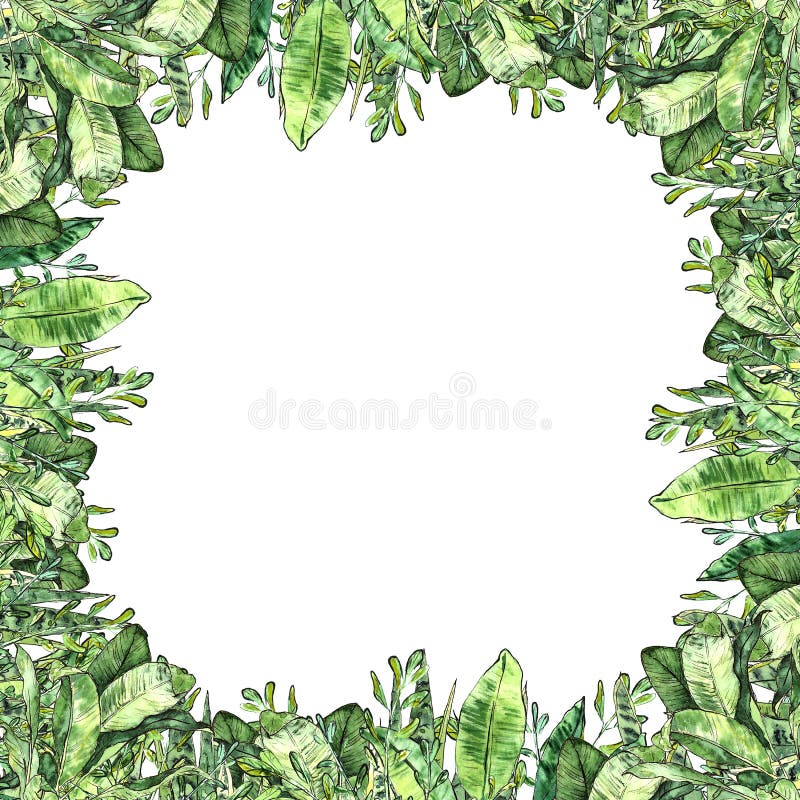Watercolor greenery collection. Frame square backdrop vector illustration Watercolor greenery collection. Frame square backdrop vector illustration
