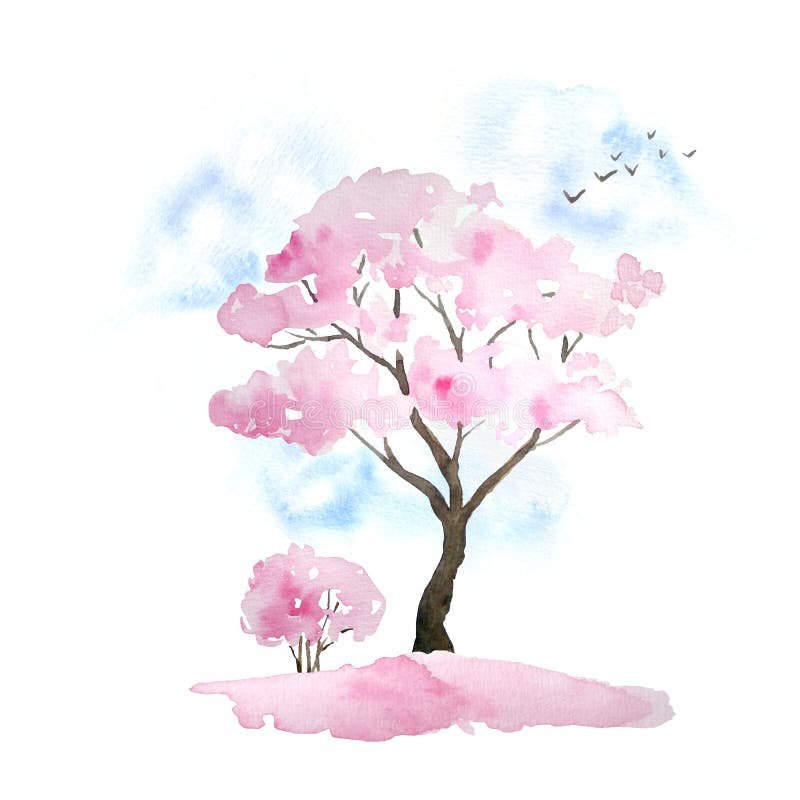 Watercolor hand drawn design illustration of pink cherry sakura tree in bloom blossom flowers, sky, birds, fallen petals