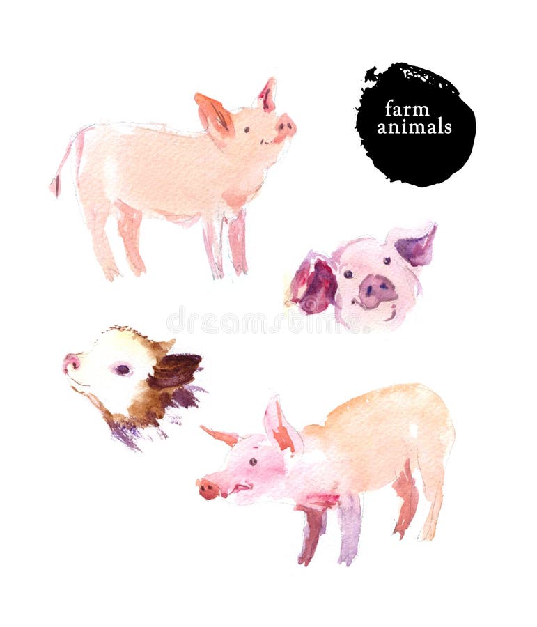 Download Pigs_hand draw image stock vector. Illustration of pigs ...