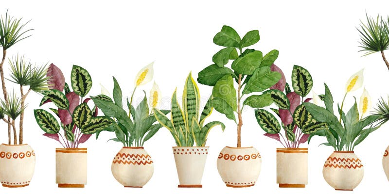 Watercolor hand drawn seamless horizontal border with houseplants in brown clay terra cotta pots. Potted sanseviera