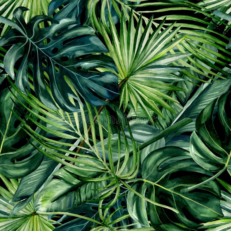 Watercolor hand drawn seamless pattern with green tropical leaves of monstera, banana tree and palm on black background