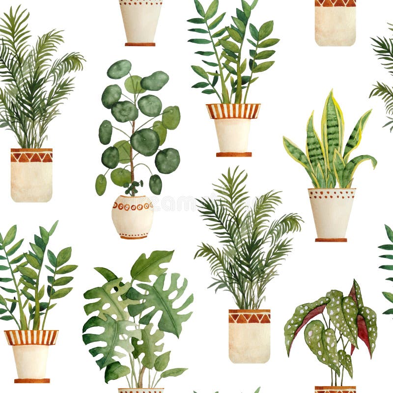 Watercolor hand drawn seamless pattern illustration with houseplants in brown clay terra cotta pots. Potted snake plant