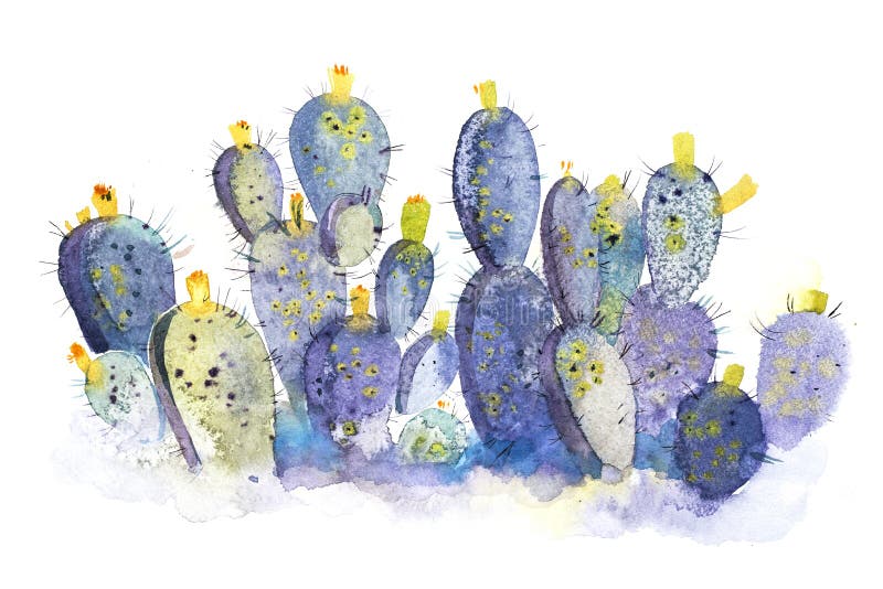 Watercolor hand drawn spiky cactus bloom flower.