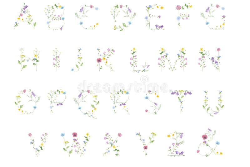 Watercolor hand drawn wild meadow flower letter alphabet bluebell, clover, chamomile, chicory, yarrow,  tansy etc. isolated on w