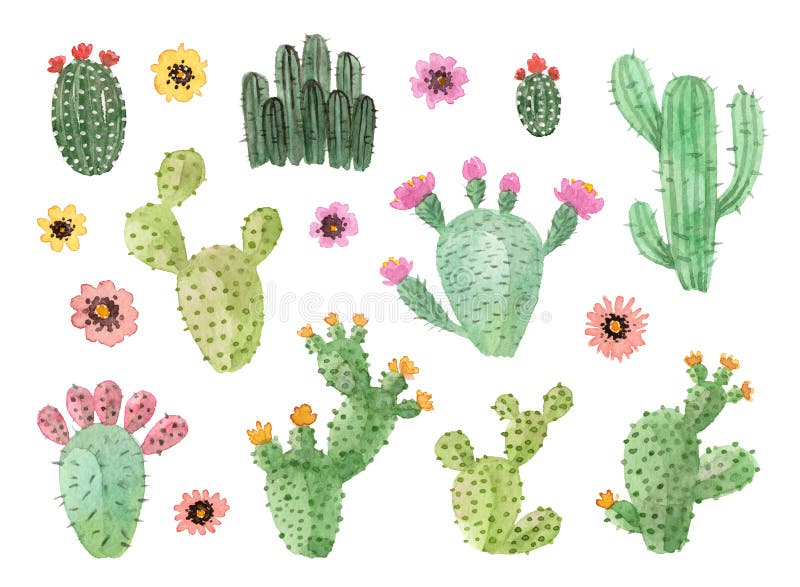 Watercolor Hand Painted Cacti with Flowers Stock Image - Image of ...