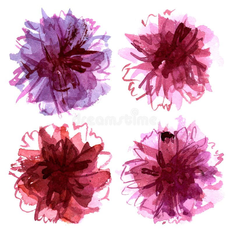 Watercolor Hand Painted Carnations Isolated Stock Illustration