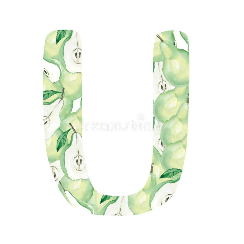 Watercolor hand painted cute alphabet letter U - in bright fruits. Trendy lettering element isolated on white. Art symbol perfect vector illustration Watercolor hand painted cute alphabet letter U - in bright fruits. Trendy lettering element isolated on white. Art symbol perfect vector illustration