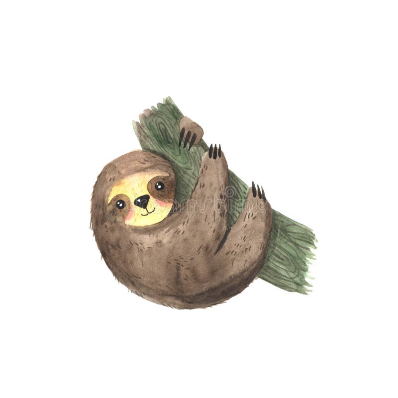 Watercolor Hand Painted Cute Sloth Stock Illustration - Illustration of  cute, mammal: 167318278